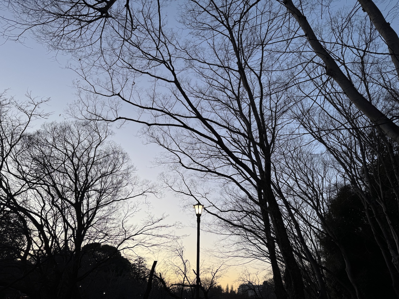 2025-02-22 17:33 Inokashira Park, Tokyo