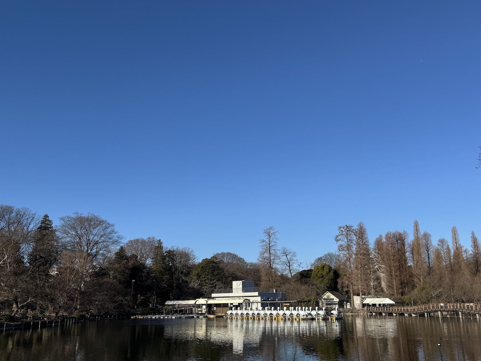 Inokashira Park, Tokyo