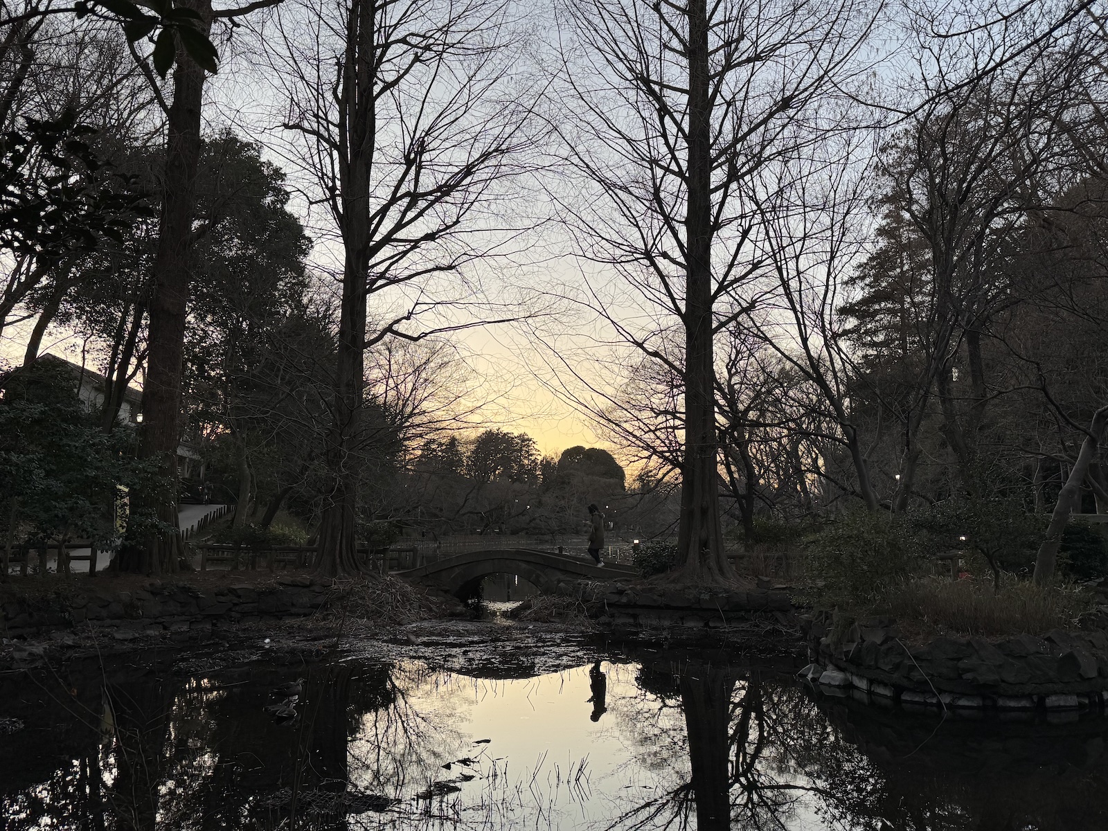 2025-02-26 17:30 Inokashira Park, Tokyo