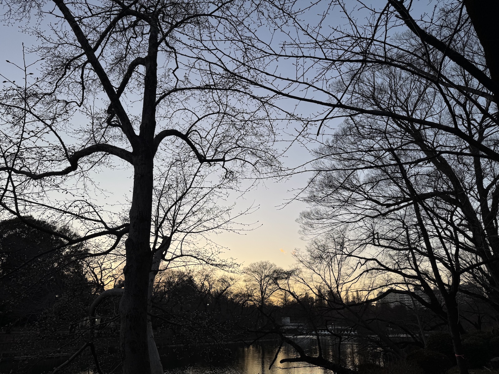 Inokashira Park, Tokyo
