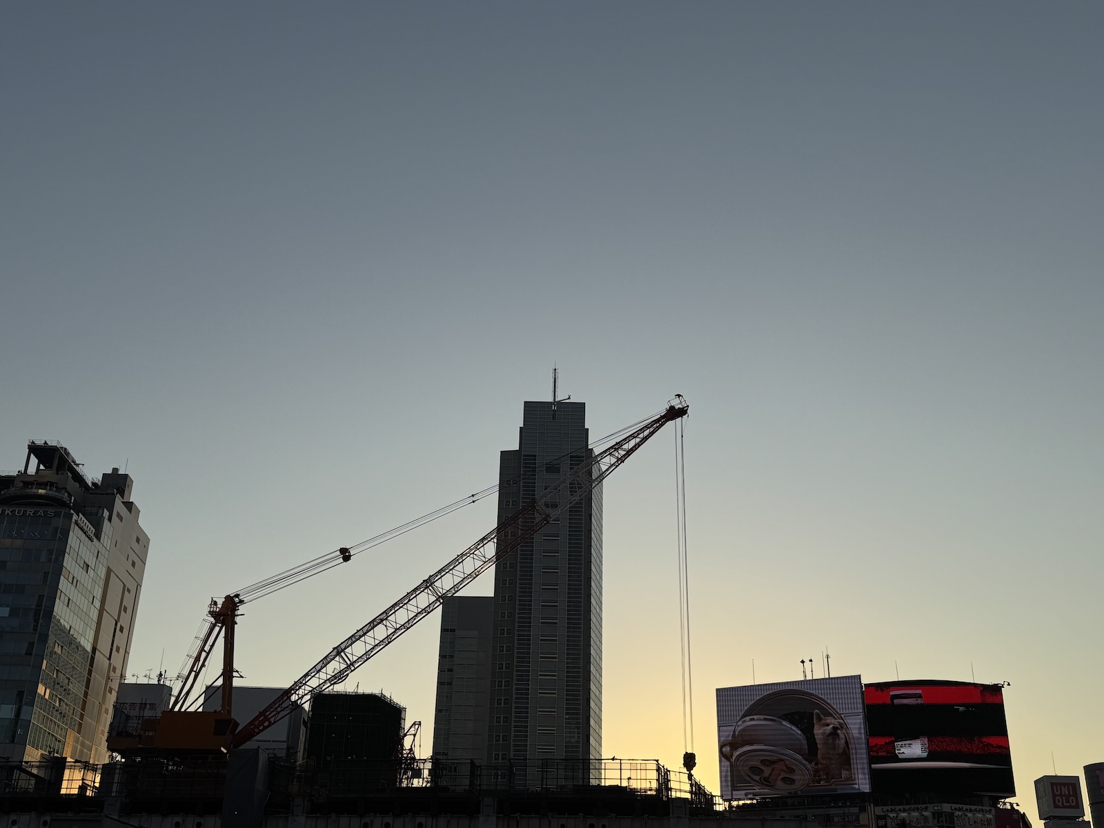 2025-02-27 17:00 Shibuya, Tokyo