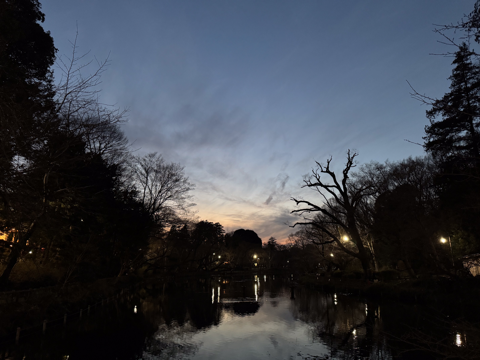 Inokashira Park, Tokyo