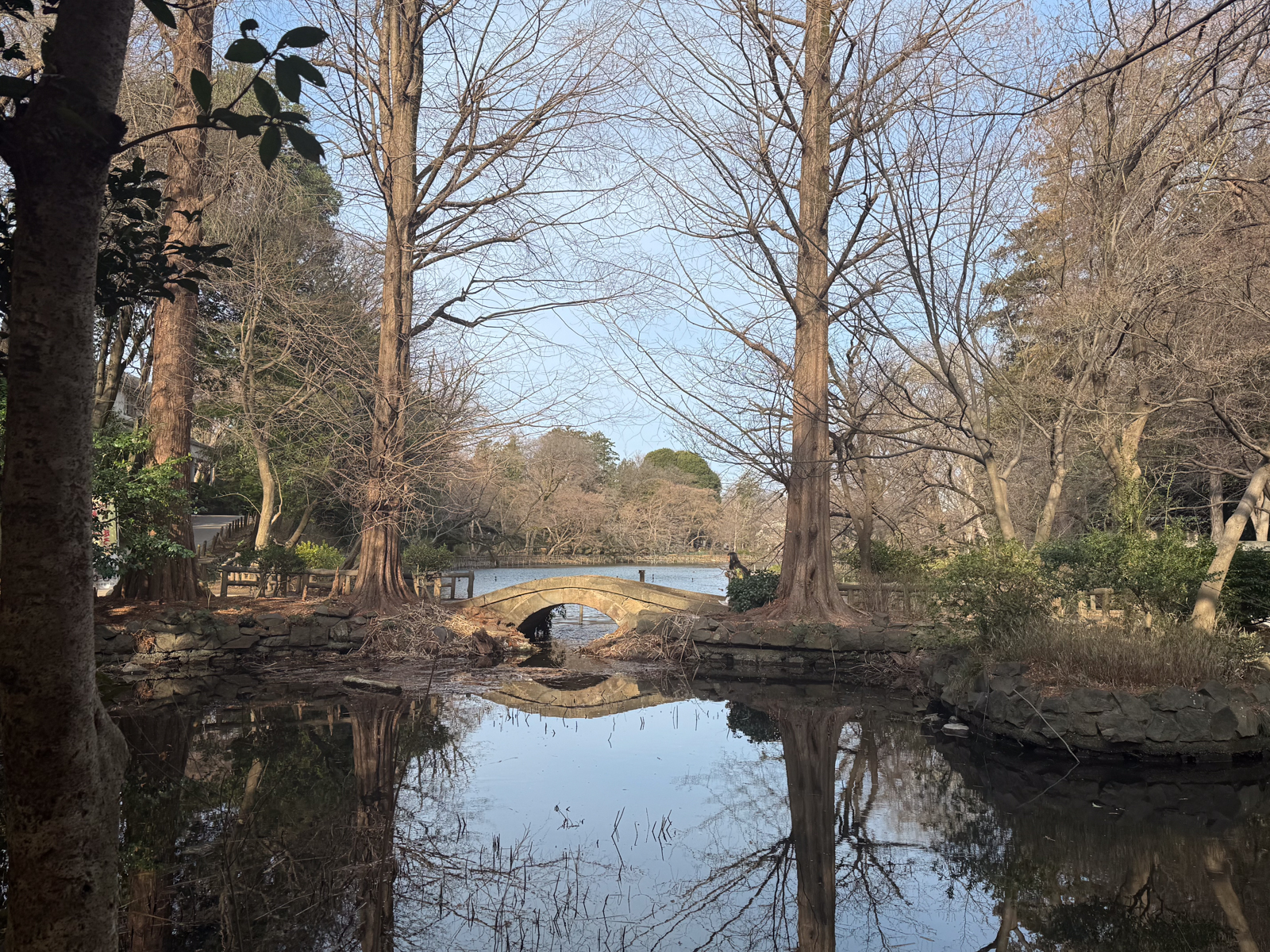 2025-03-14 08:10 Inokashira Park, Tokyo