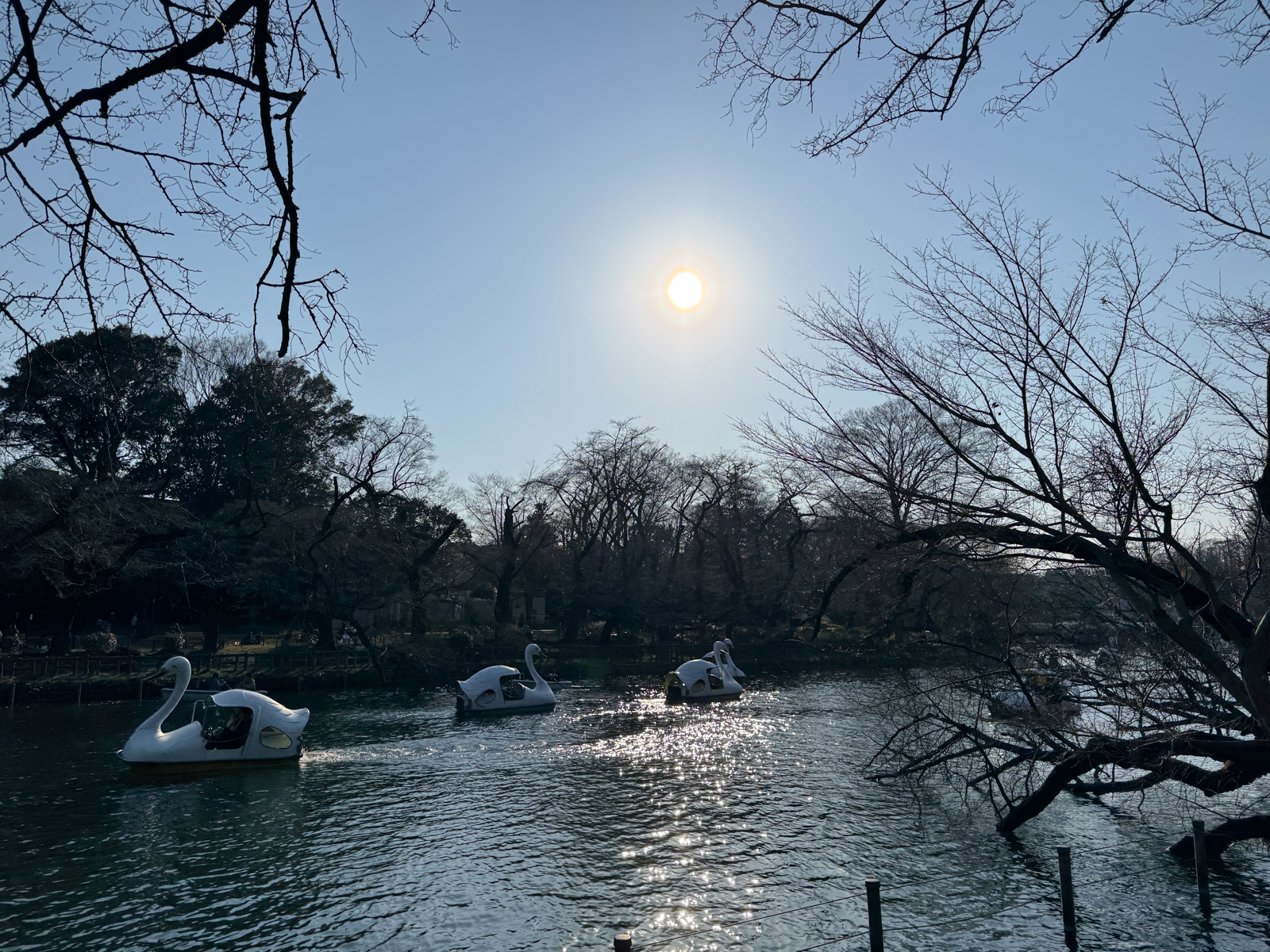 2025-03-21 16:01 Inokashira Park, Tokyo