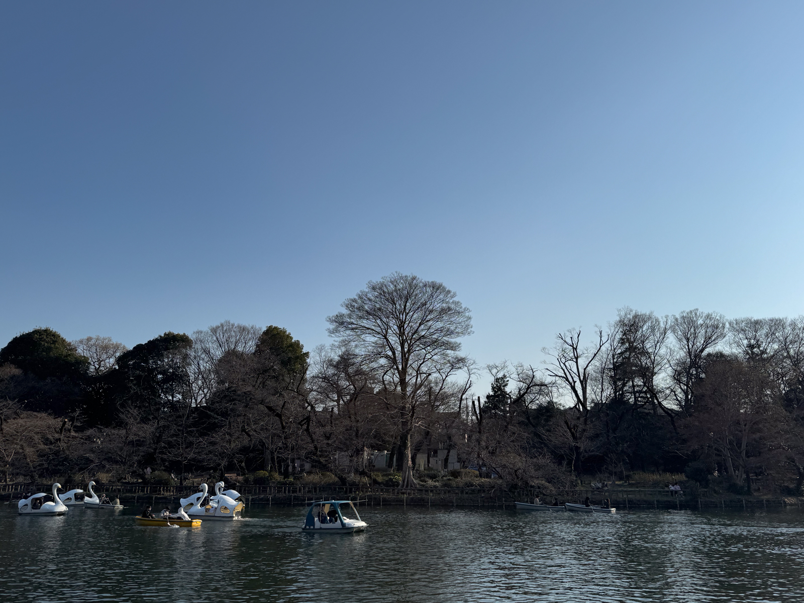 Inokashira Park, Tokyo