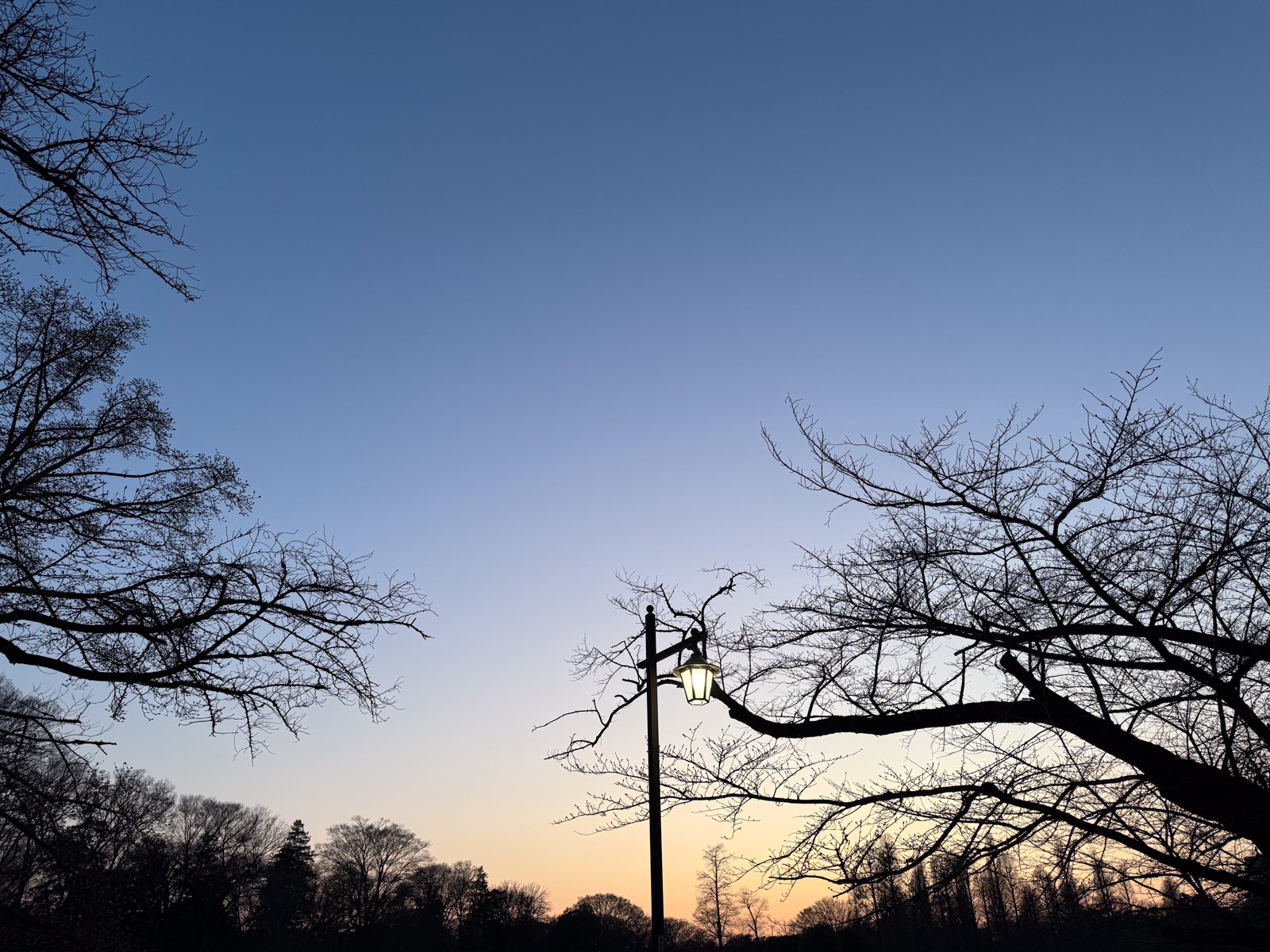 Inokashira Park, Tokyo
