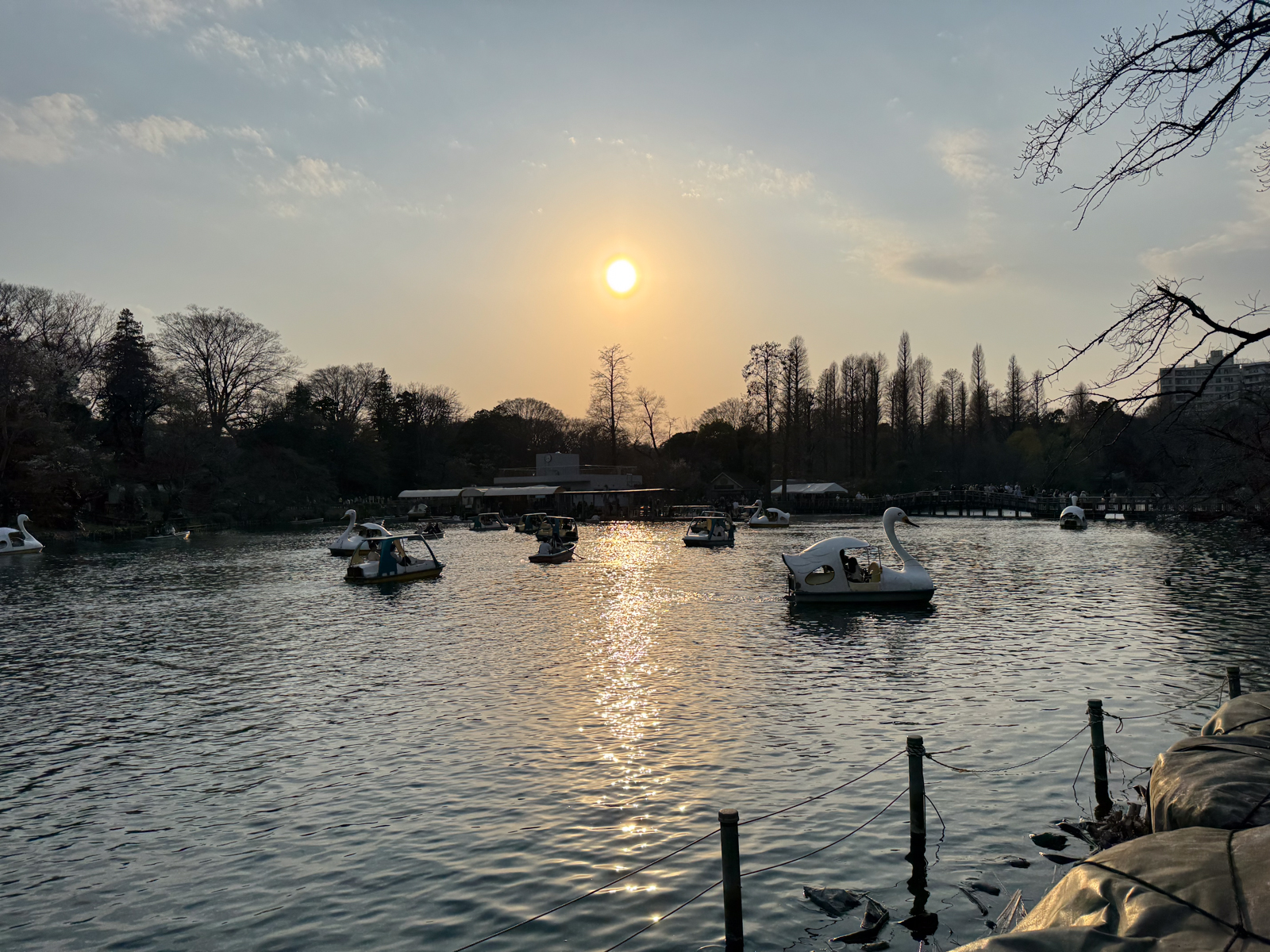 2025-03-23 16:41 Inokashira Park, Tokyo