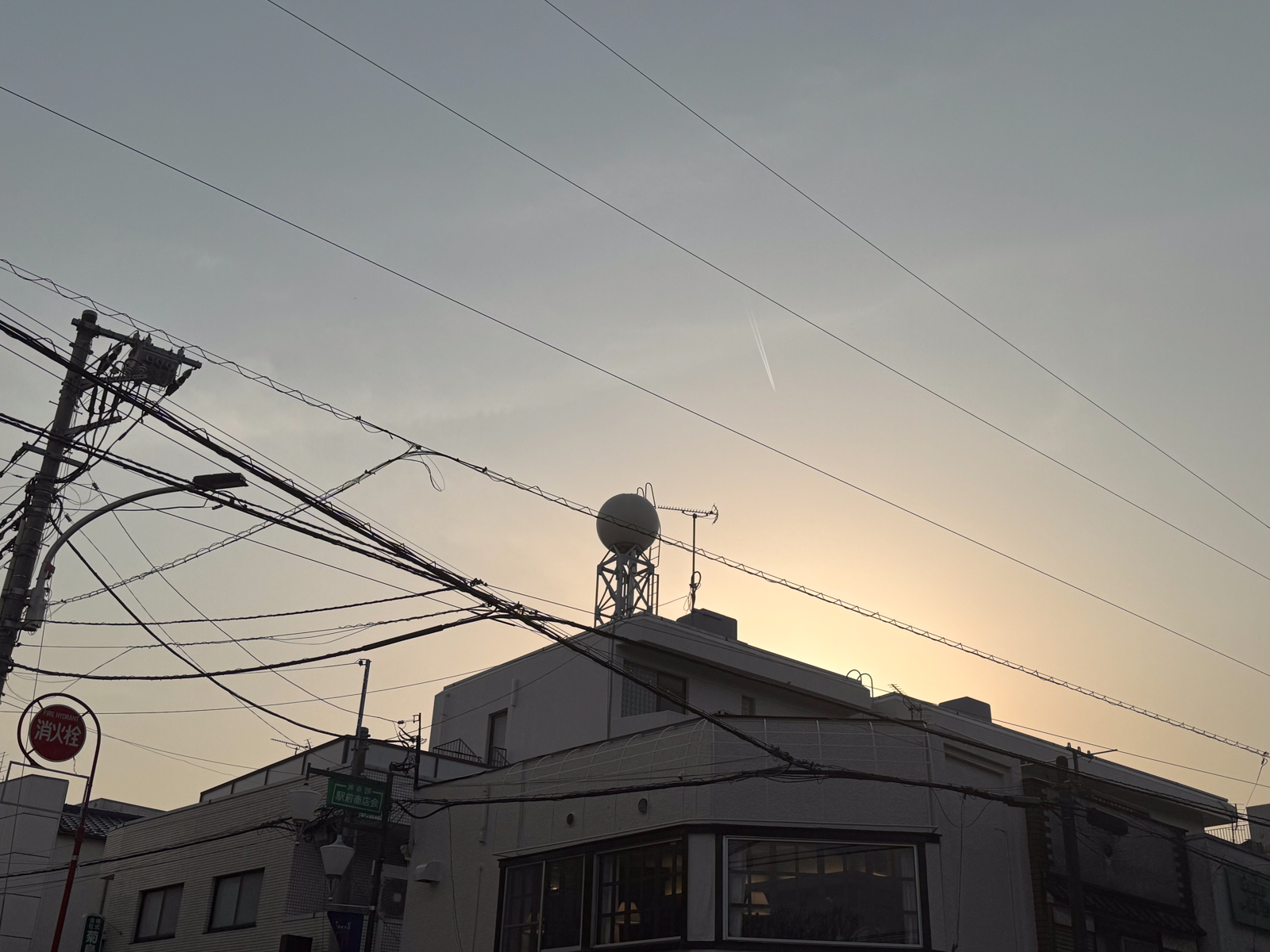 2025-03-26 16:38 Inokashira Park, Tokyo