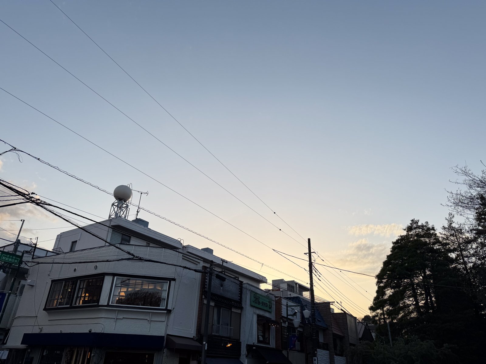 2025-04-09 17:38 Inokashira Park, Tokyo