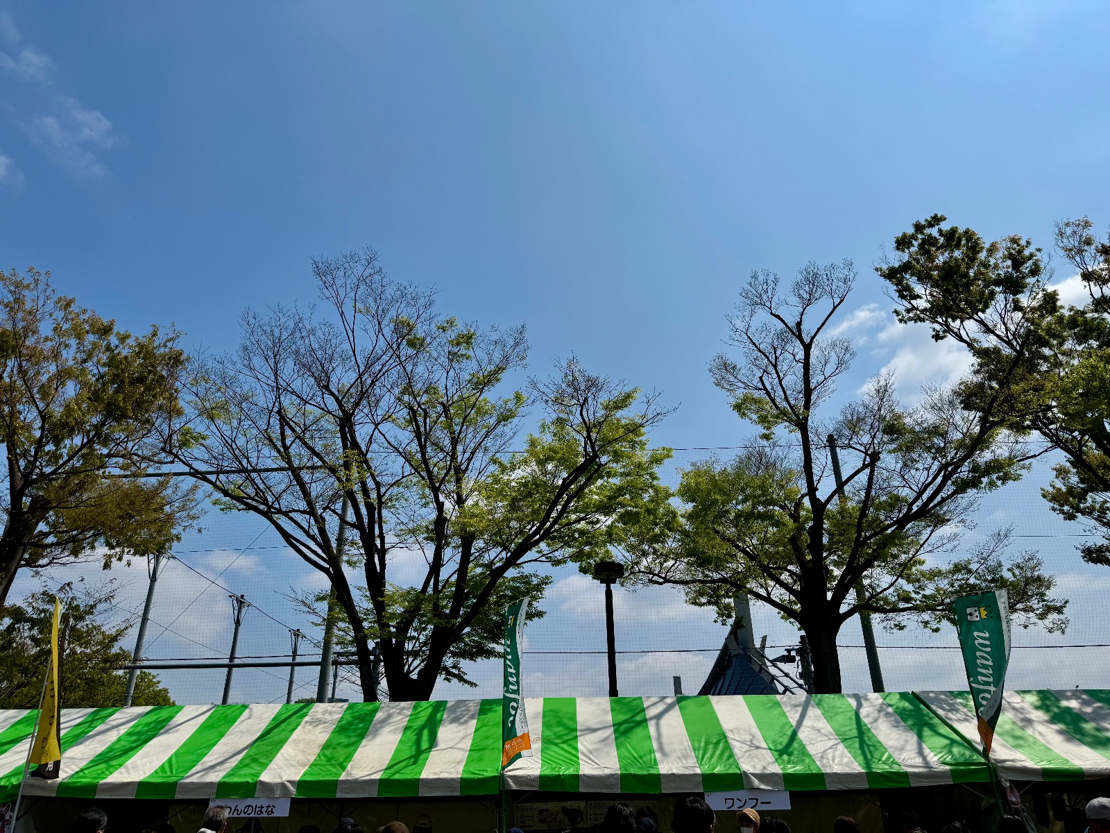 2025-04-12 10:54 Yoyogi Park, Tokyo