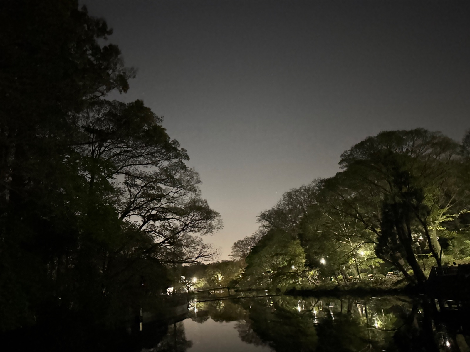 2025-04-14 19:26 Inokashira Park, Tokyo