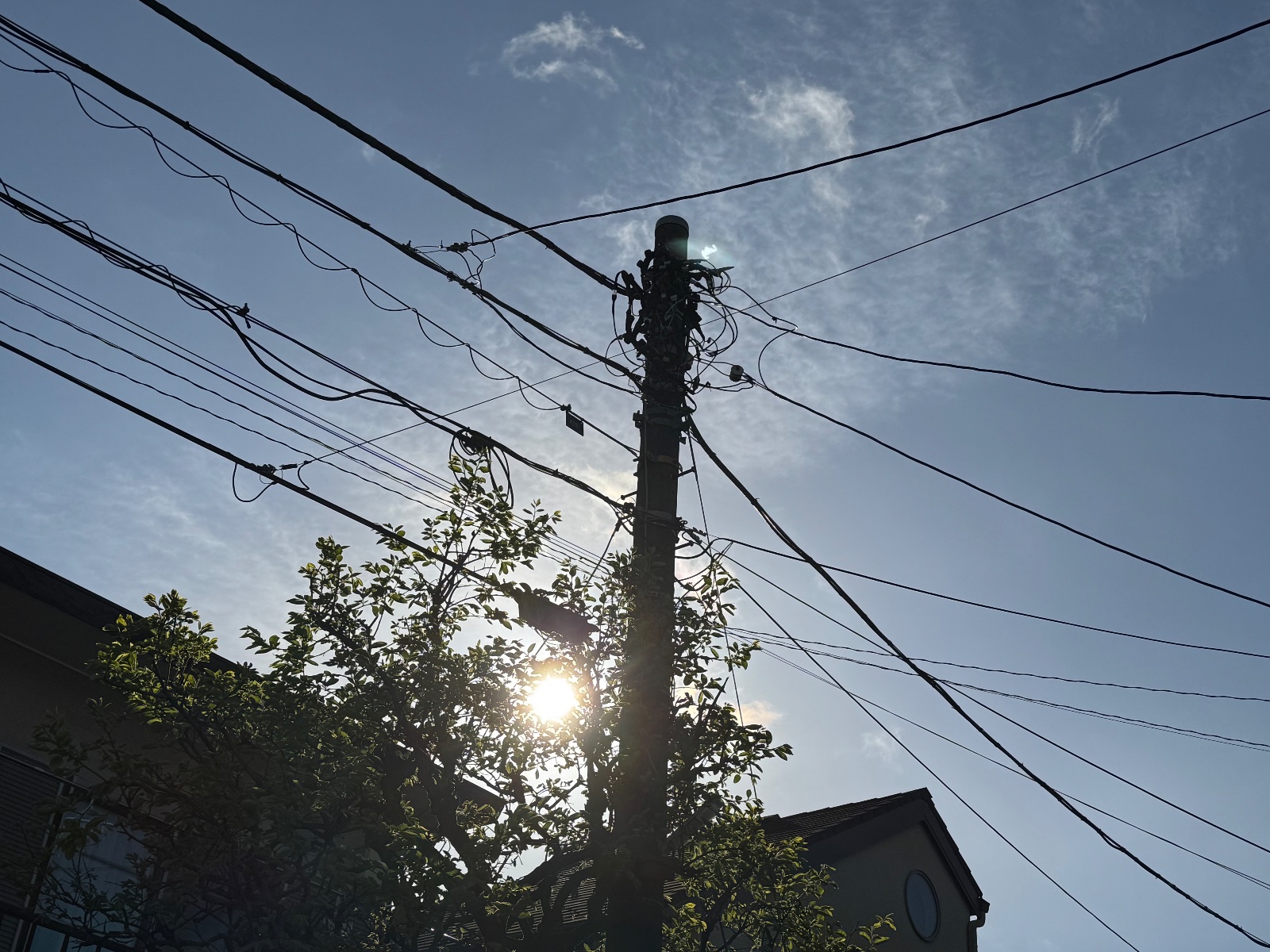 2025-04-15 07:19 Mitaka, Tokyo