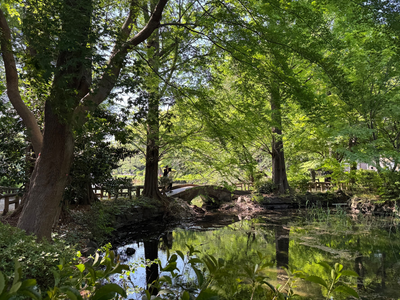 Inokashira Park, Tokyo