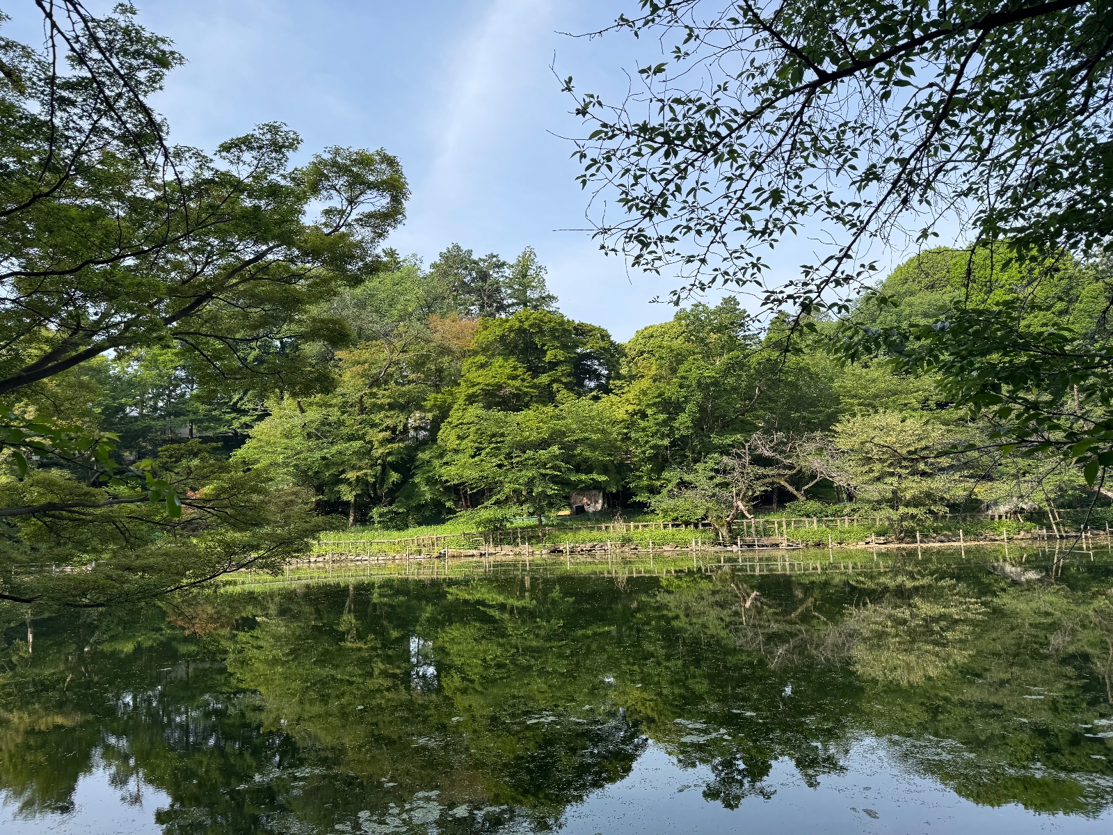 2025-05-15 07:12 Inokashira Park, Tokyo