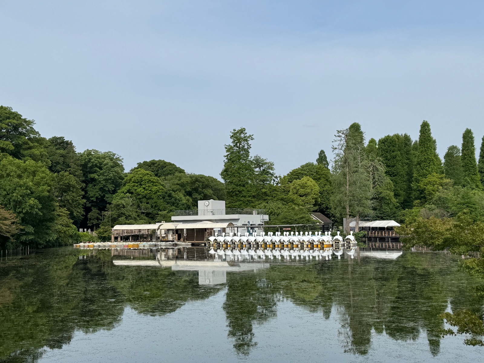 2025-05-29 07:24 Inokashira Park, Tokyo