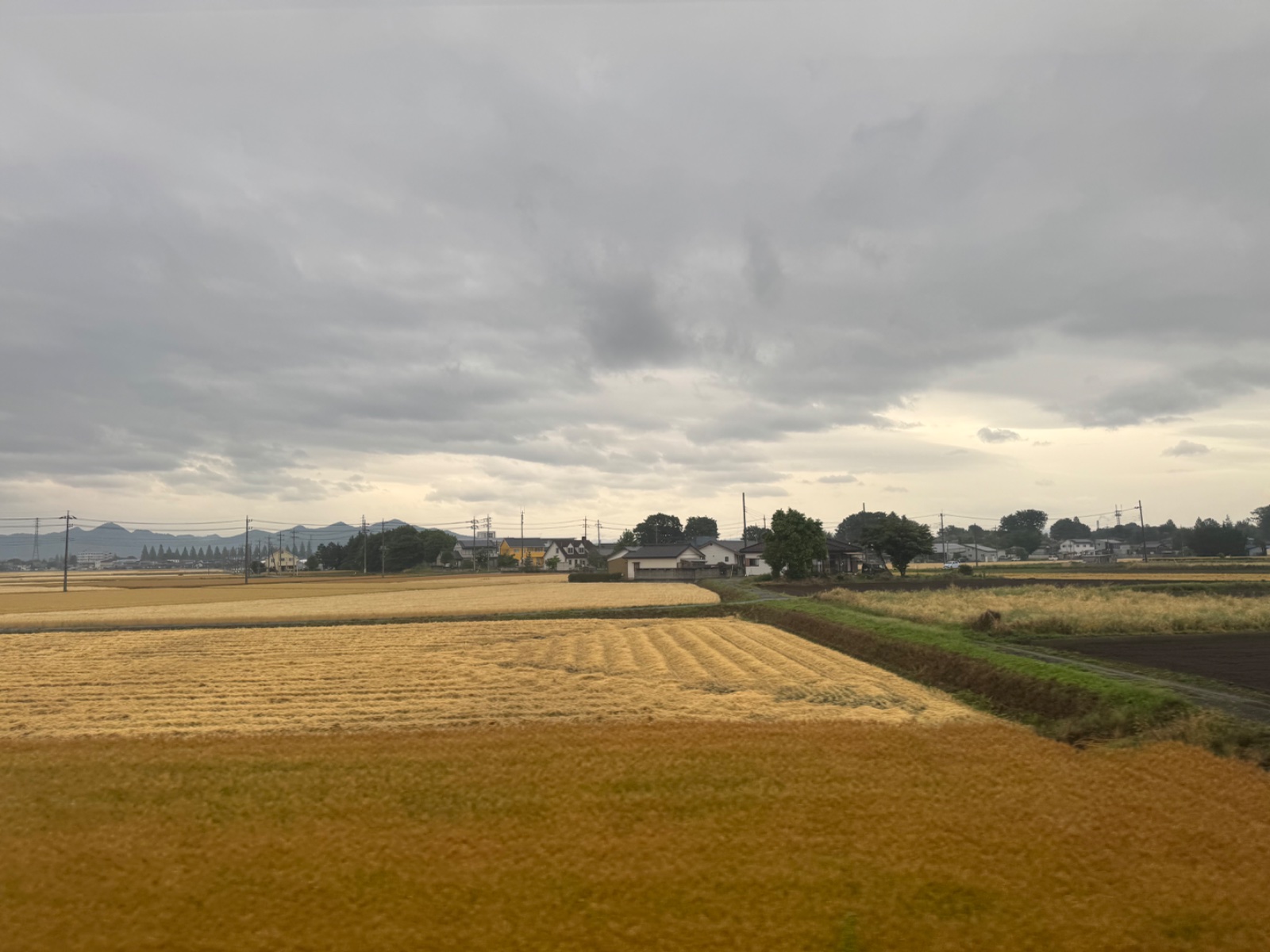 2025-05-30 17:12 Tatebayashi, Gumma