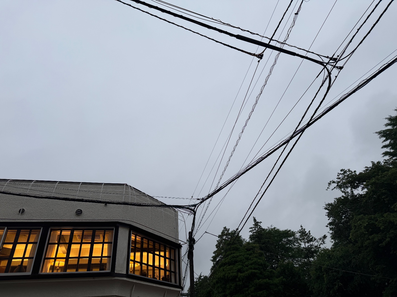 2025-06-10 18:40 Inokashira, Tokyo