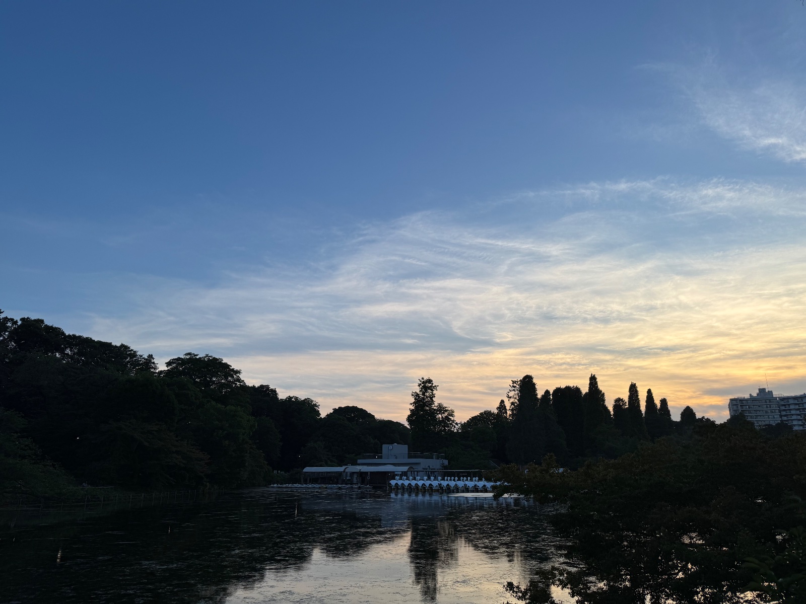 2025-06-22 18:33 Inokashira Park, Tokyo