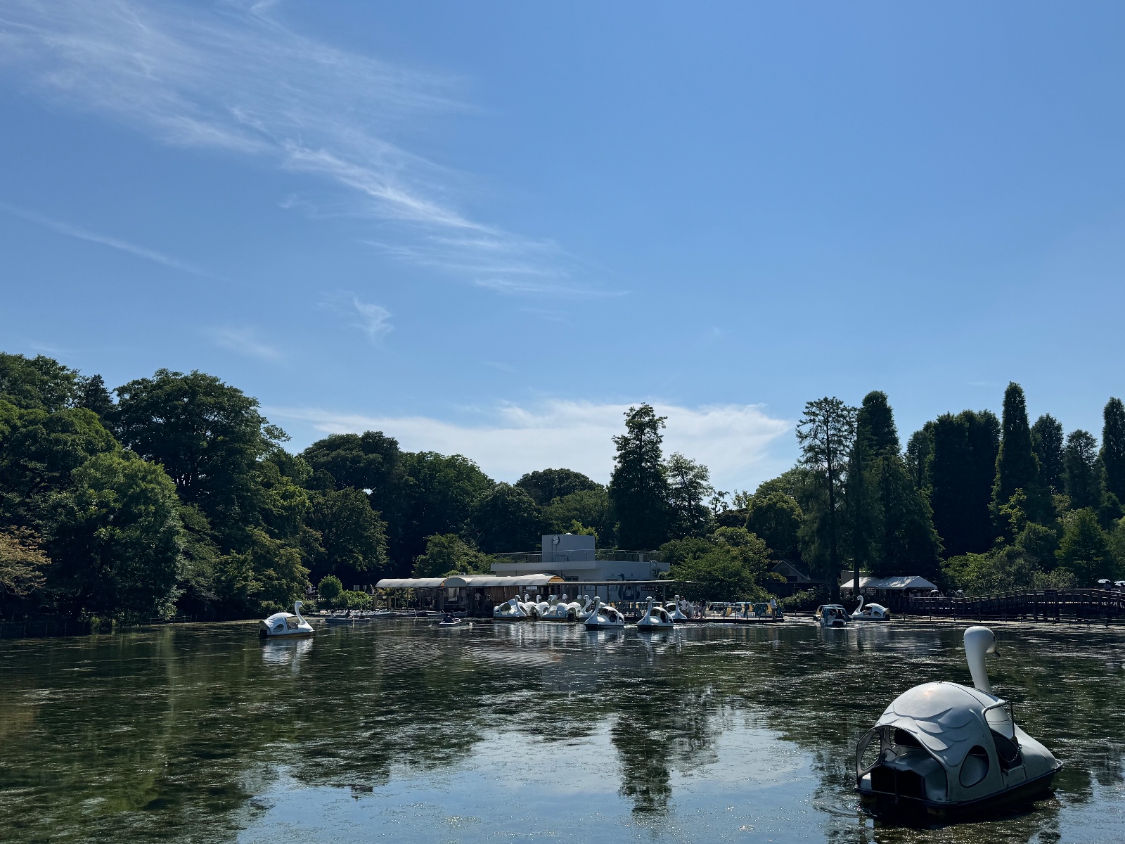 2025-06-28 14:44 Inokashira Park, Tokyo