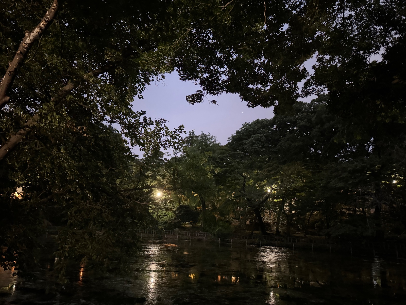 2025-07-04 19:10 Inokashira Park, Tokyo