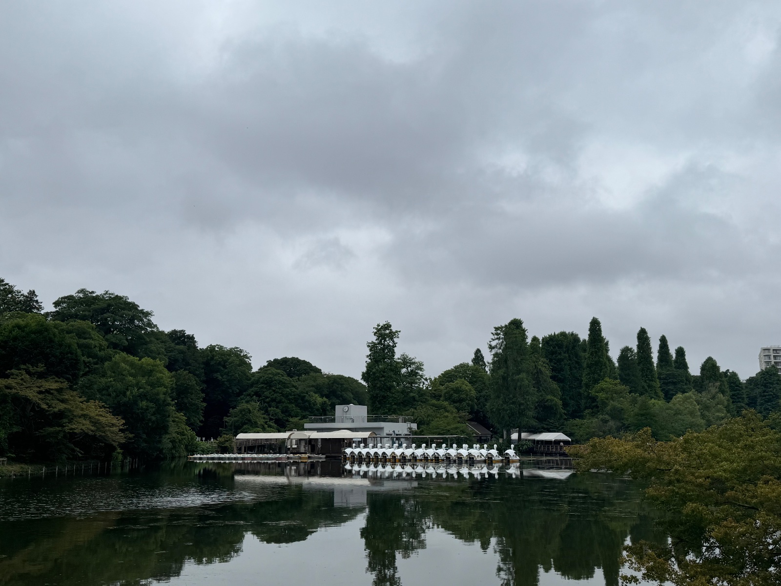 2025-07-11 07:36 Inokashira Park, Tokyo
