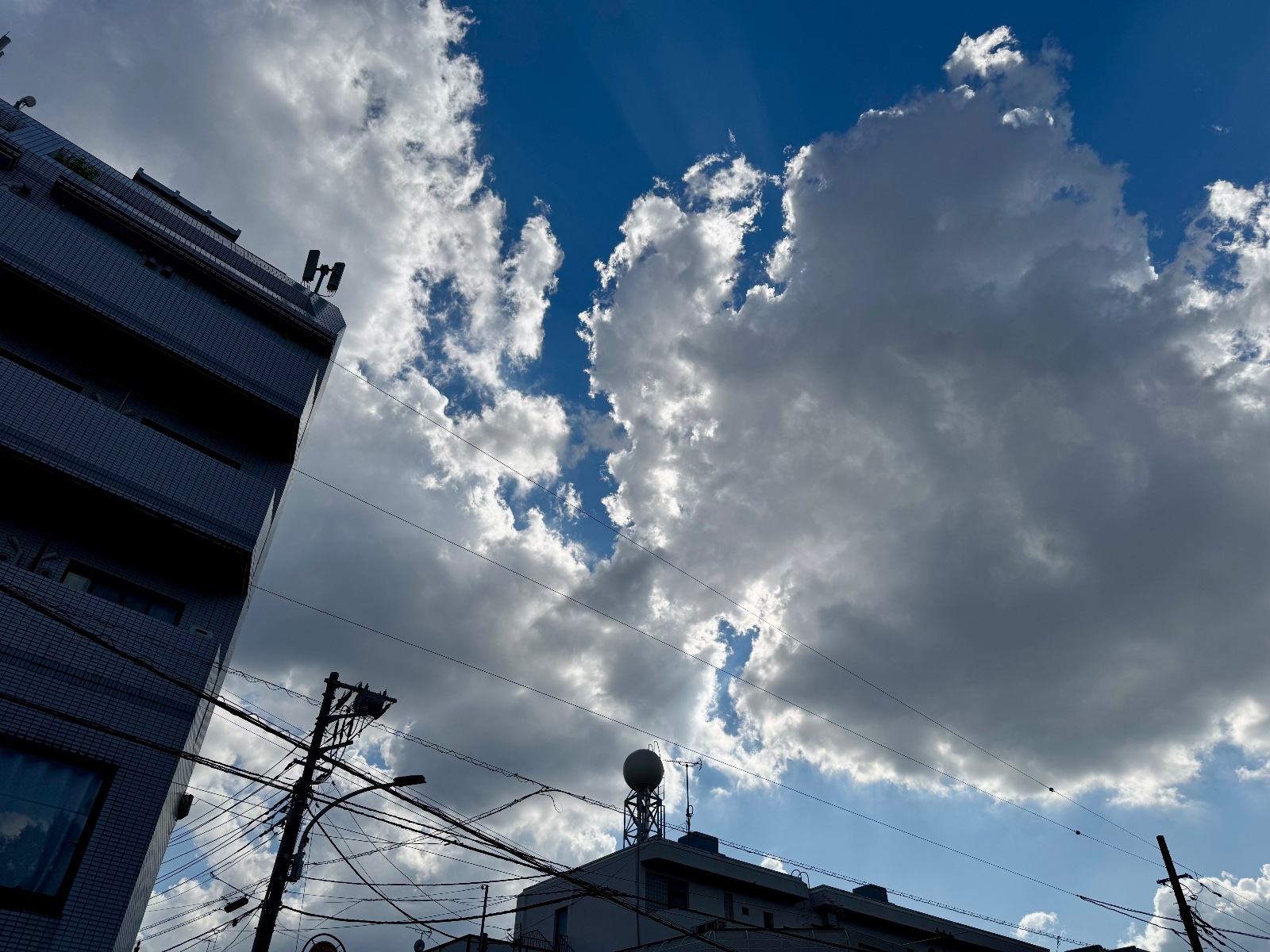 2025-07-13 15:46 Inokashira, Tokyo