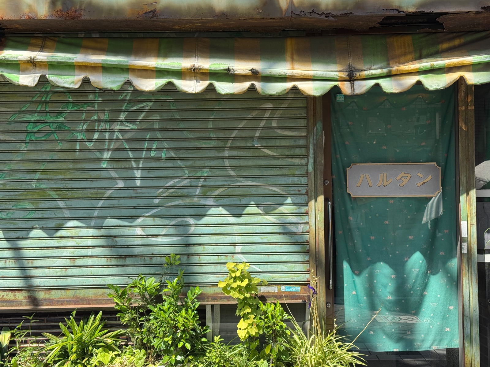 2025-08-02 13:34 Kichijoji, Tokyo