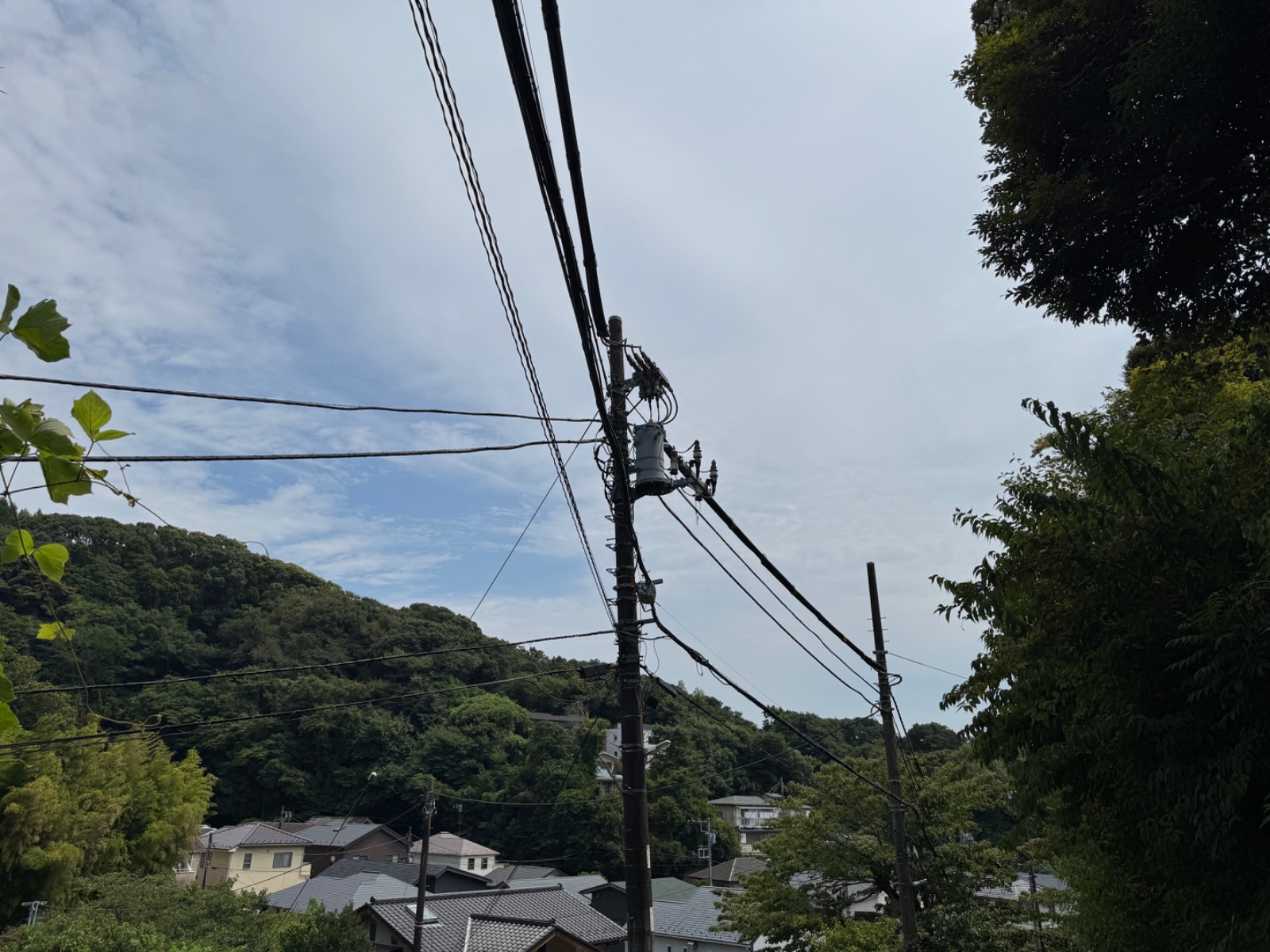 2025-08-09 12:43 Kamakura, Kanagawa