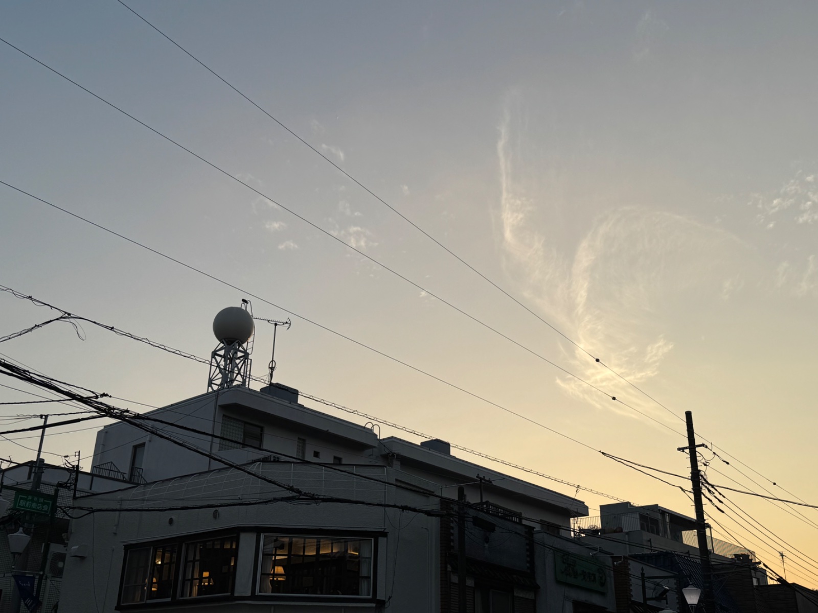 2025-08-30 17:52 Inokashira, Tokyo