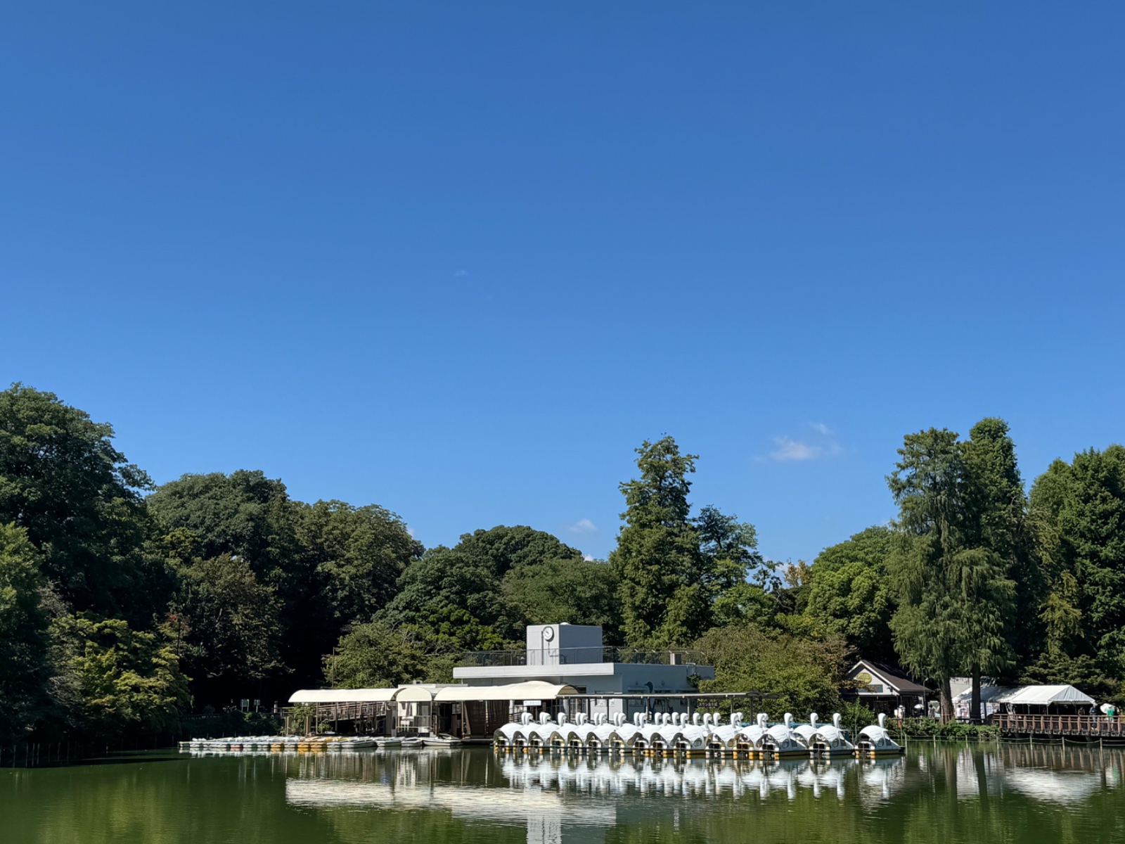 2025-09-06 09:54 Inokashira Park, Tokyo