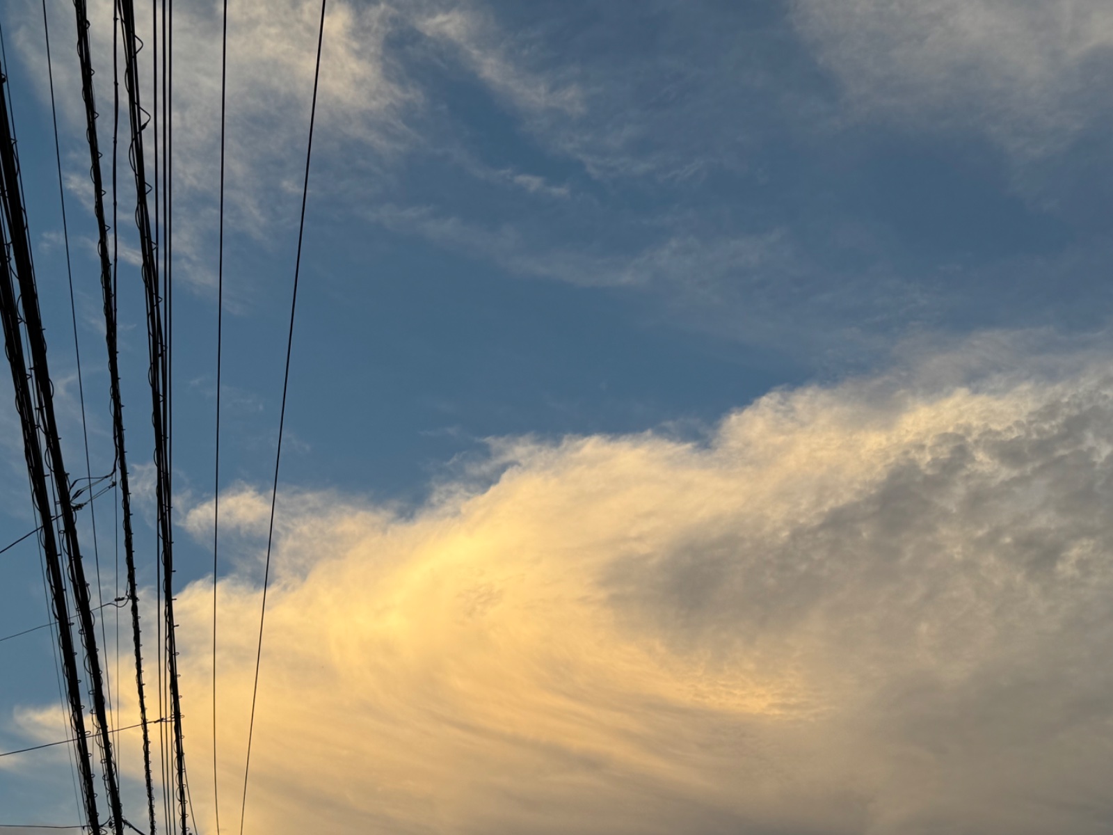 2025-09-14 17:46 Inokashira, Tokyo