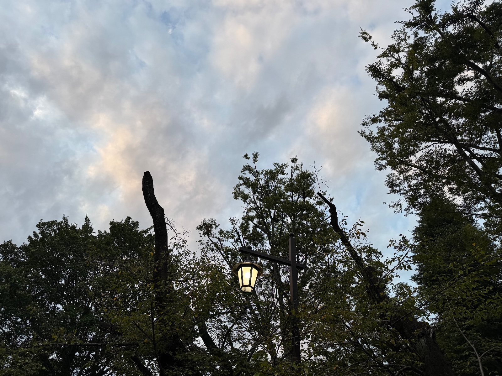 2025-09-24 17:20 Inokashira Park, Tokyo