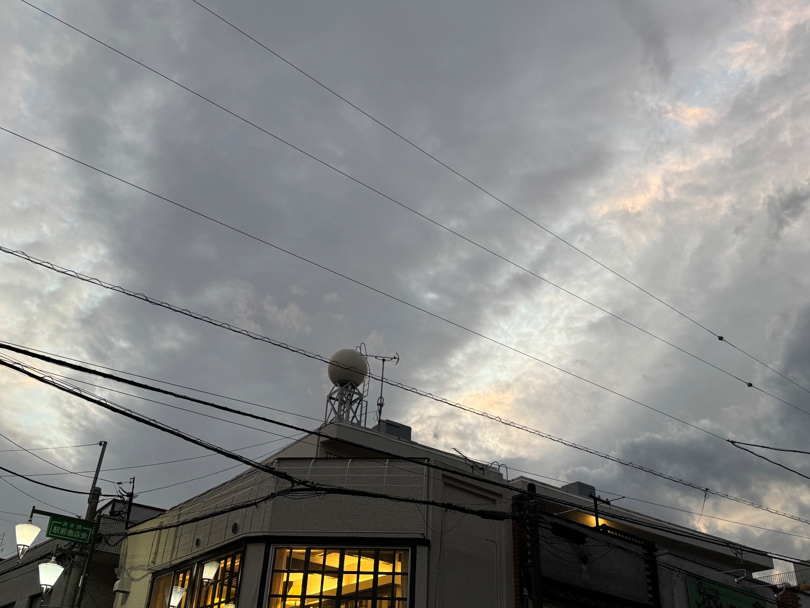 2025-09-29 17:35 Inokashira, Tokyo