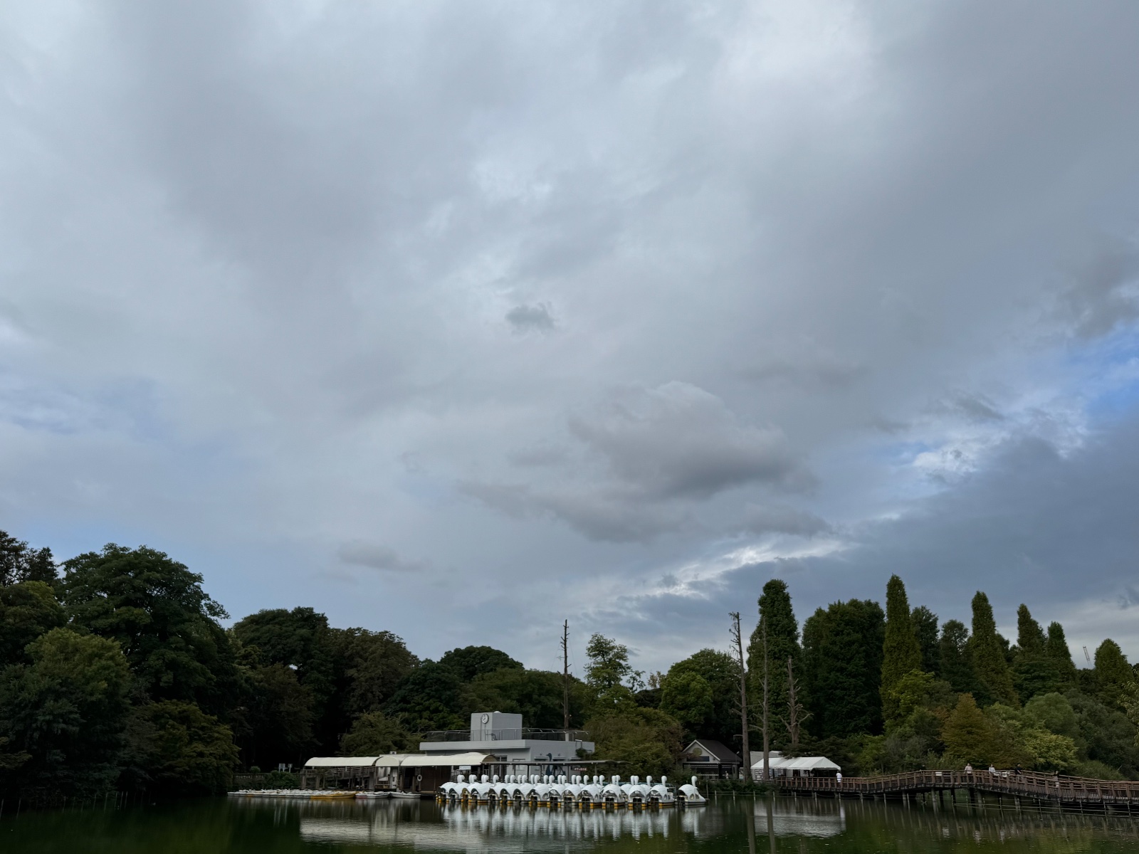 2025-09-30 07:57 Inokashira Park, Tokyo