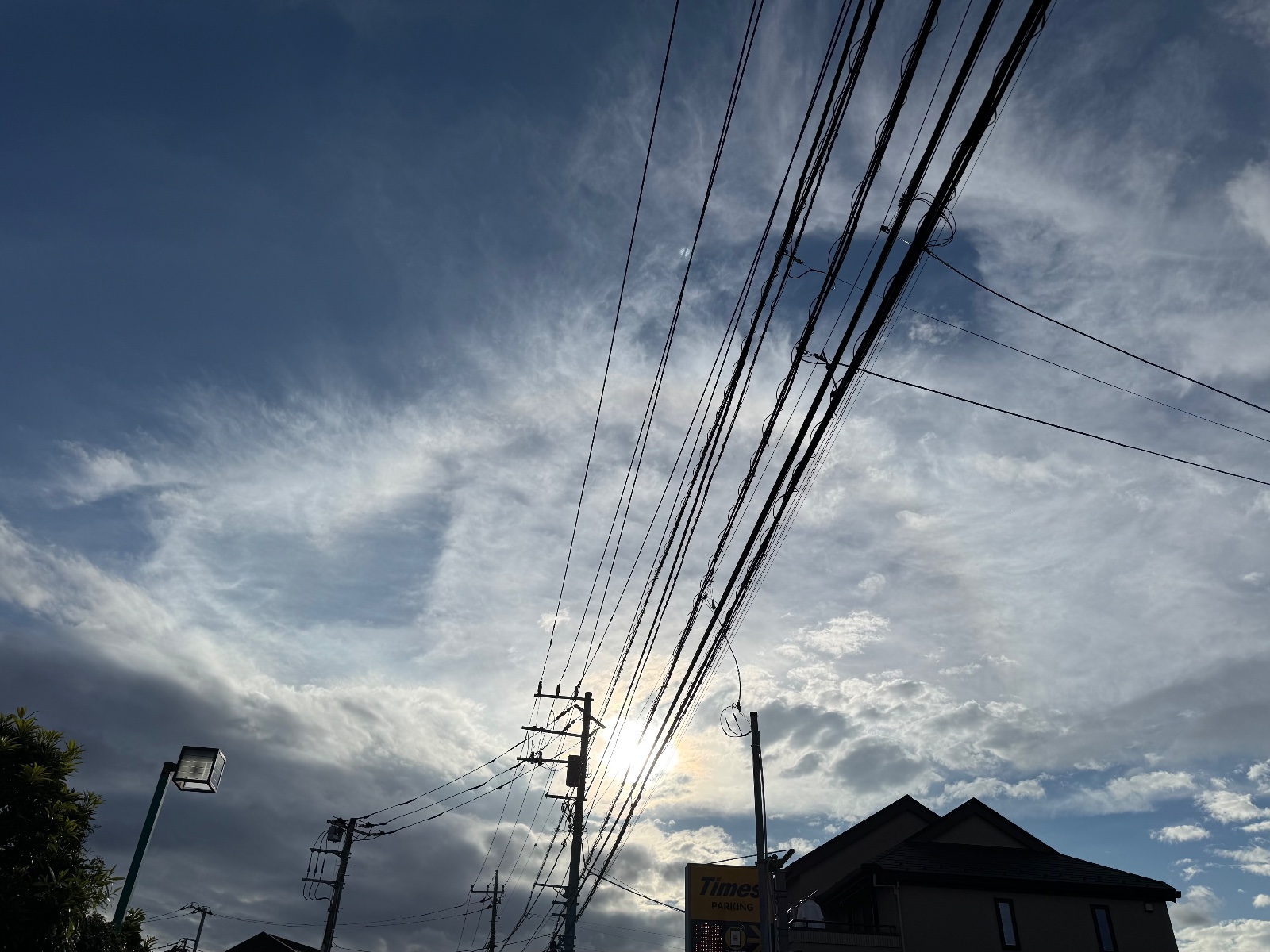 2025-10-05 15:38 Mitaka, Tokyo