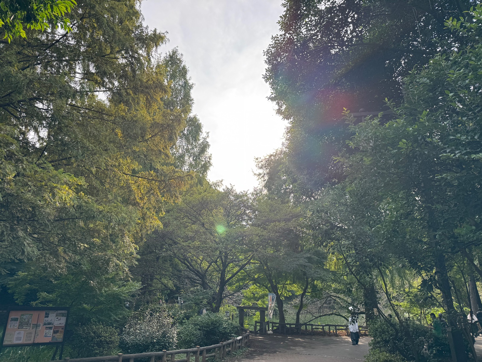 2025-10-12 14:42 Inokashira Park, Tokyo