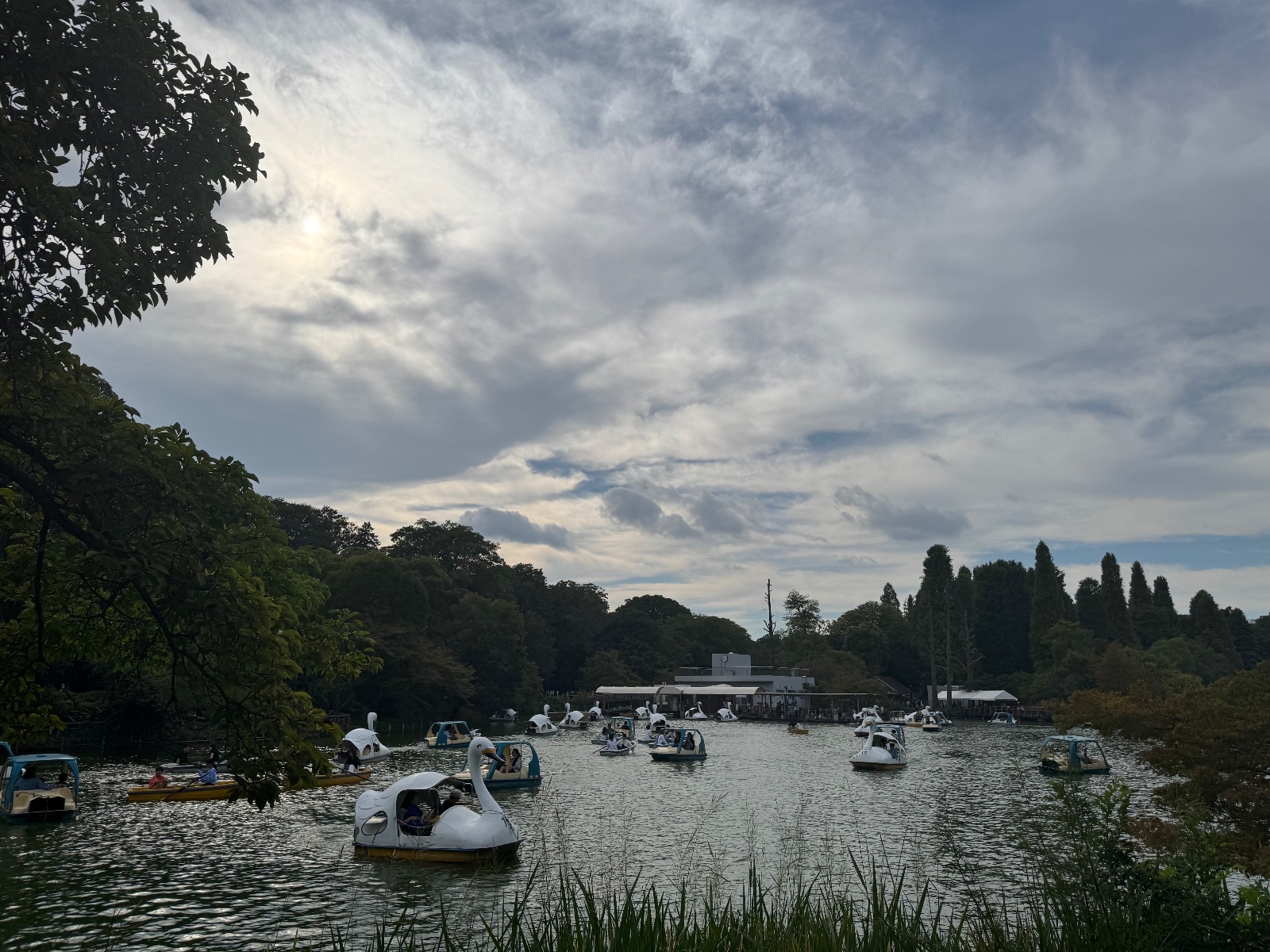 2025-10-13 14:38 Inokashira Park, Tokyo