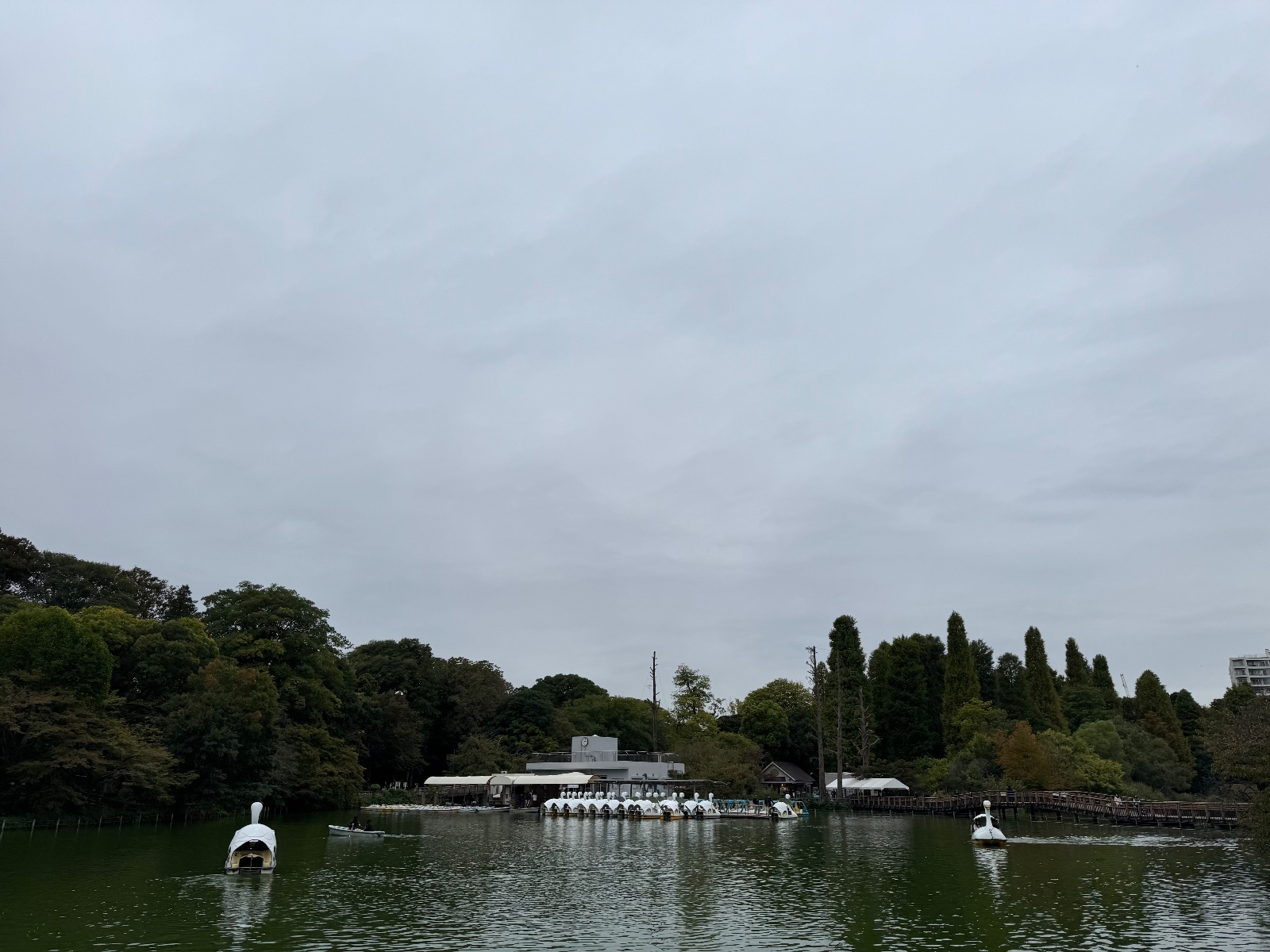 2025-10-21 15:03 Inokashira Park, Tokyo