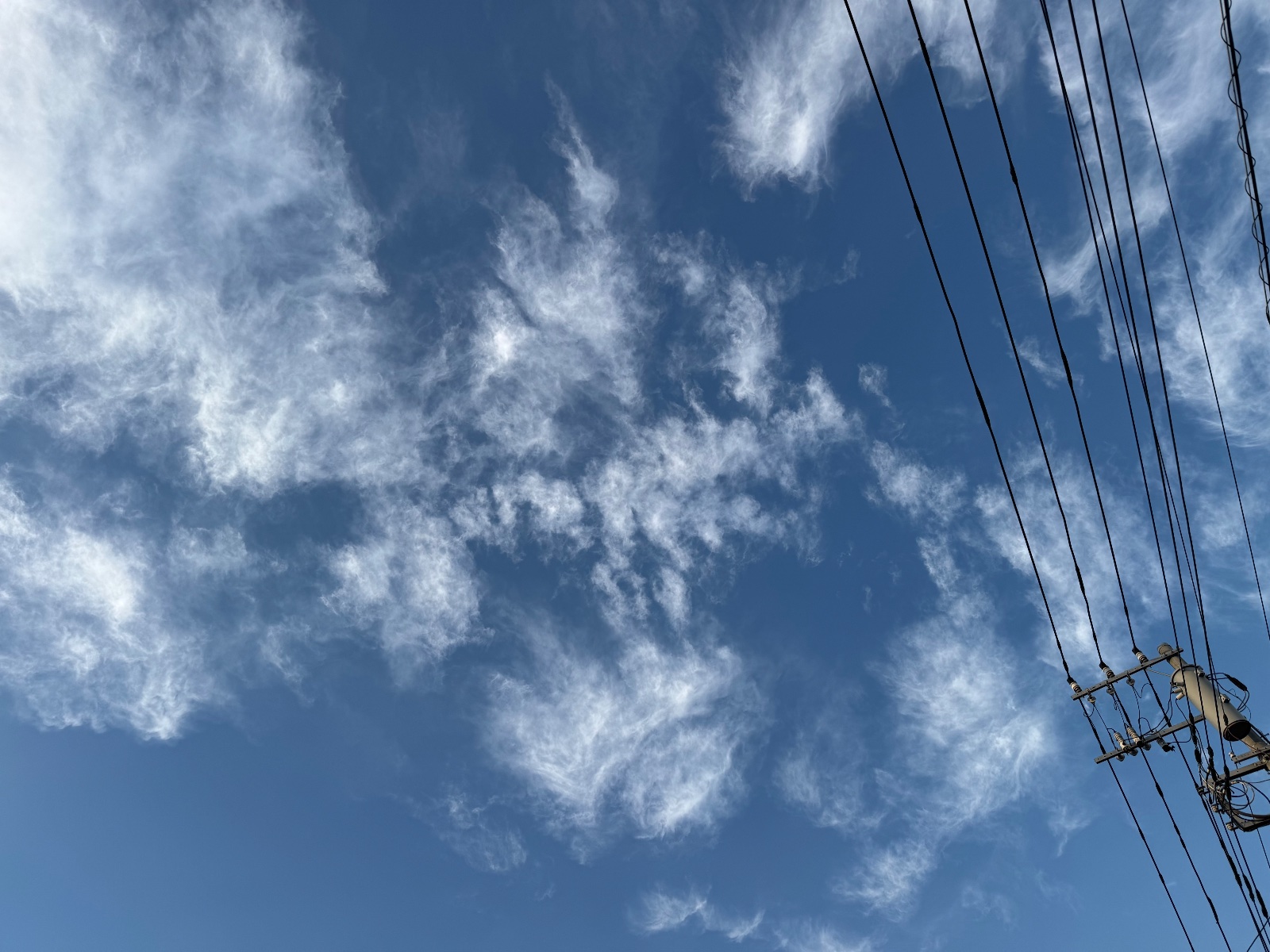 2025-11-01 16:09 Inokashira, Tokyo