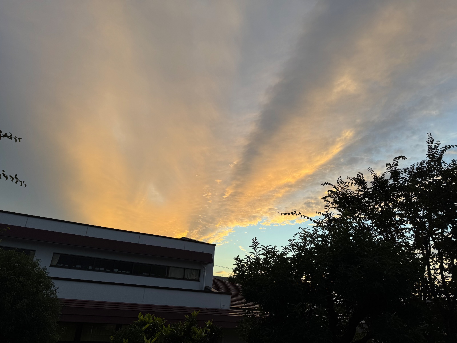 2025-11-02 16:39 Inokashira, Tokyo