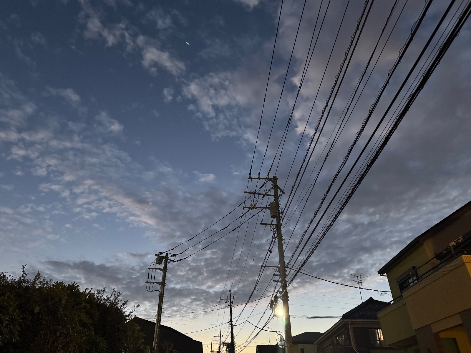 2025-11-12 17:07 Mitaka, Tokyo