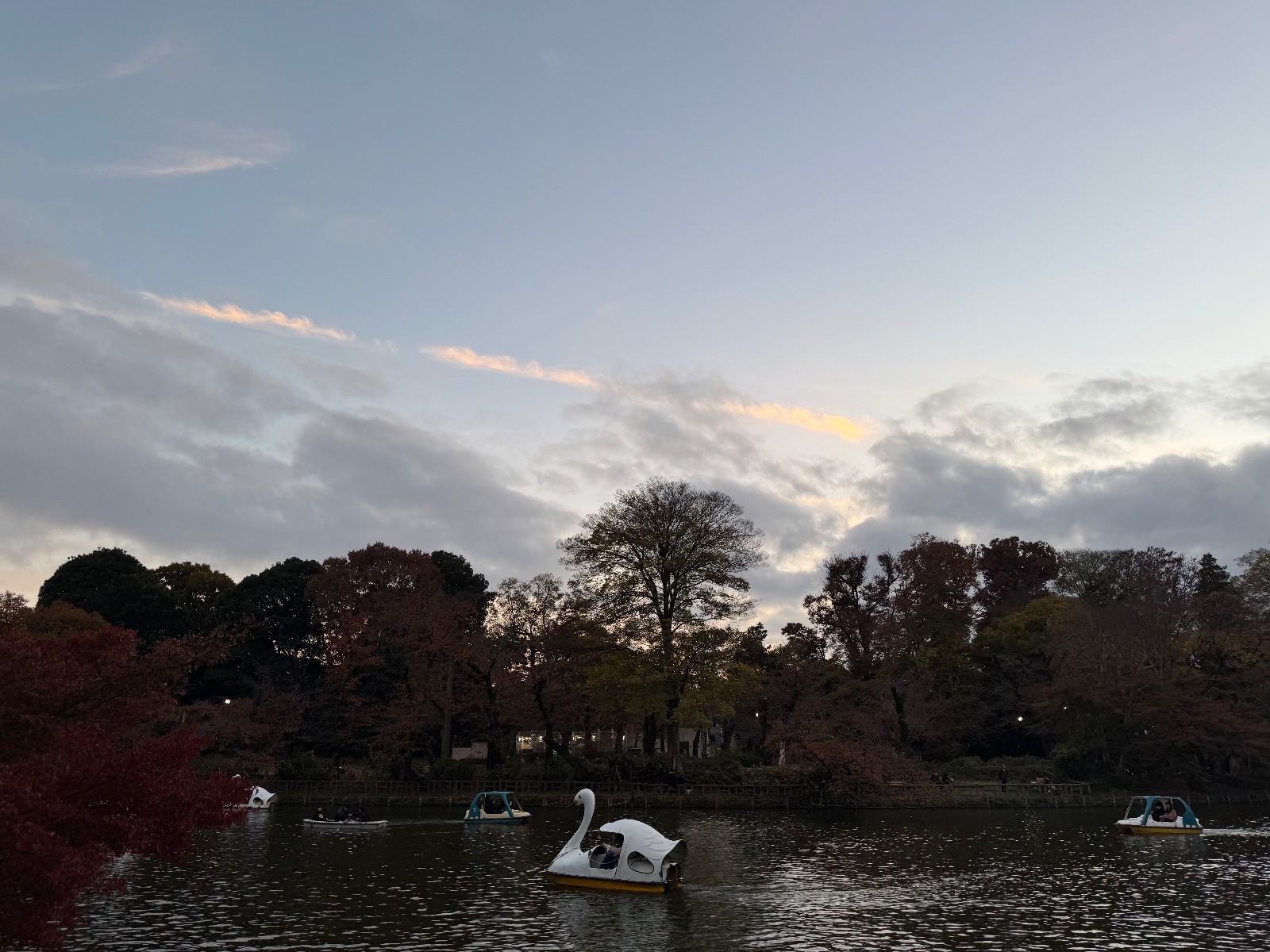 Inokashira Park, Tokyo