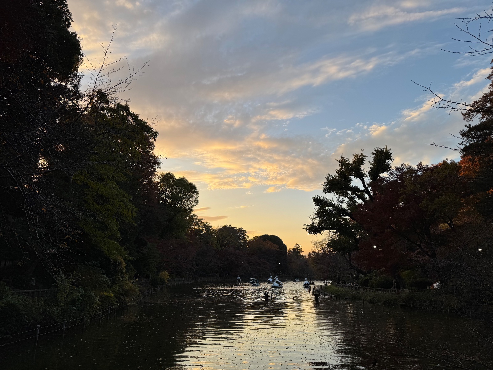 Inokashira Park, Tokyo