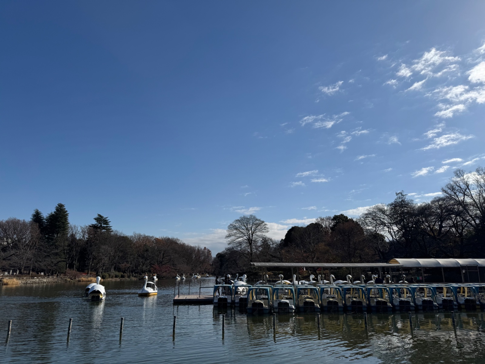 Inokashira Park, Tokyo