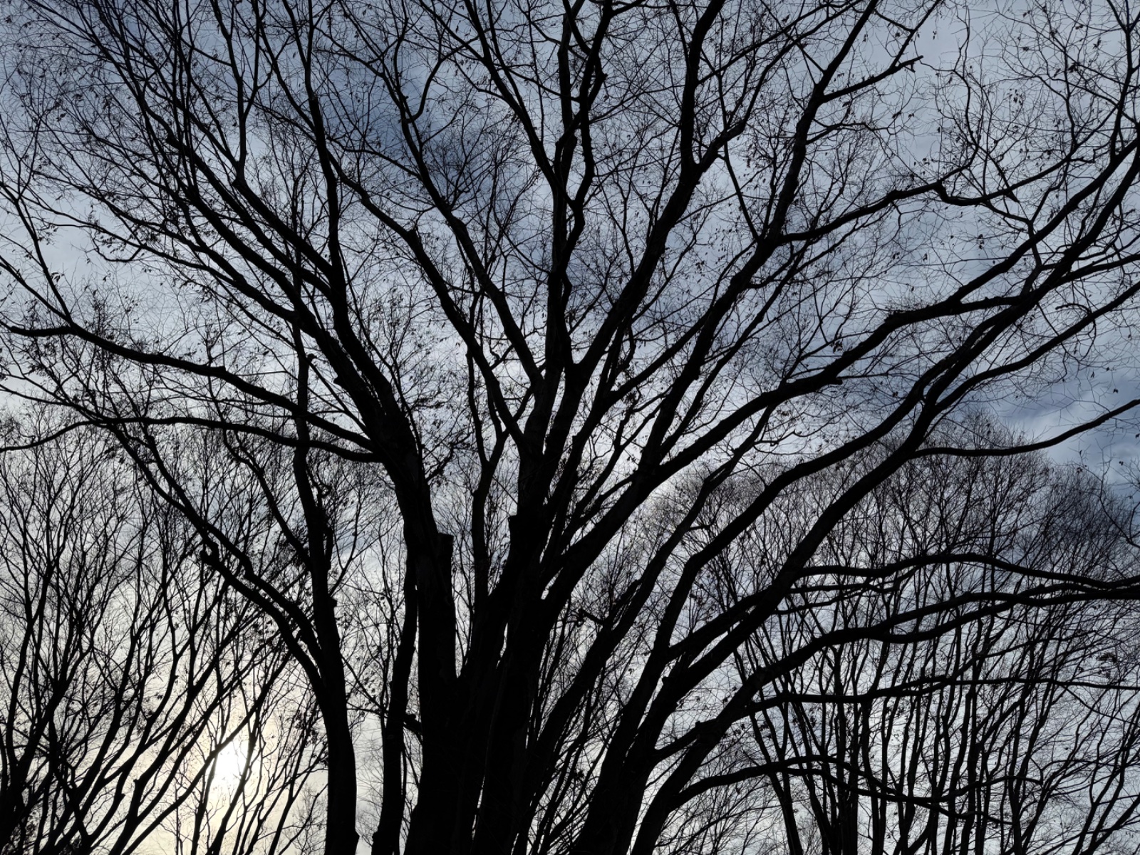 Setagaya Museum, Tokyo