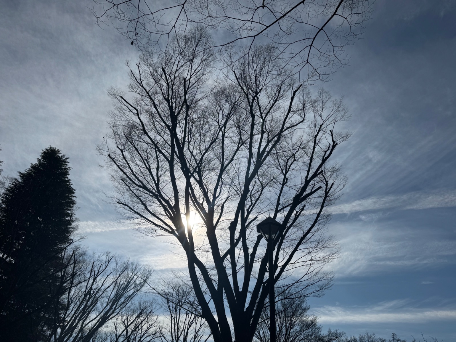 Inokashira Park, Tokyo