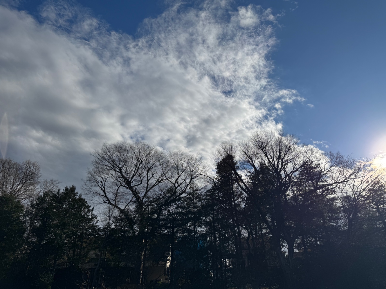 Inokashira Park, Tokyo
