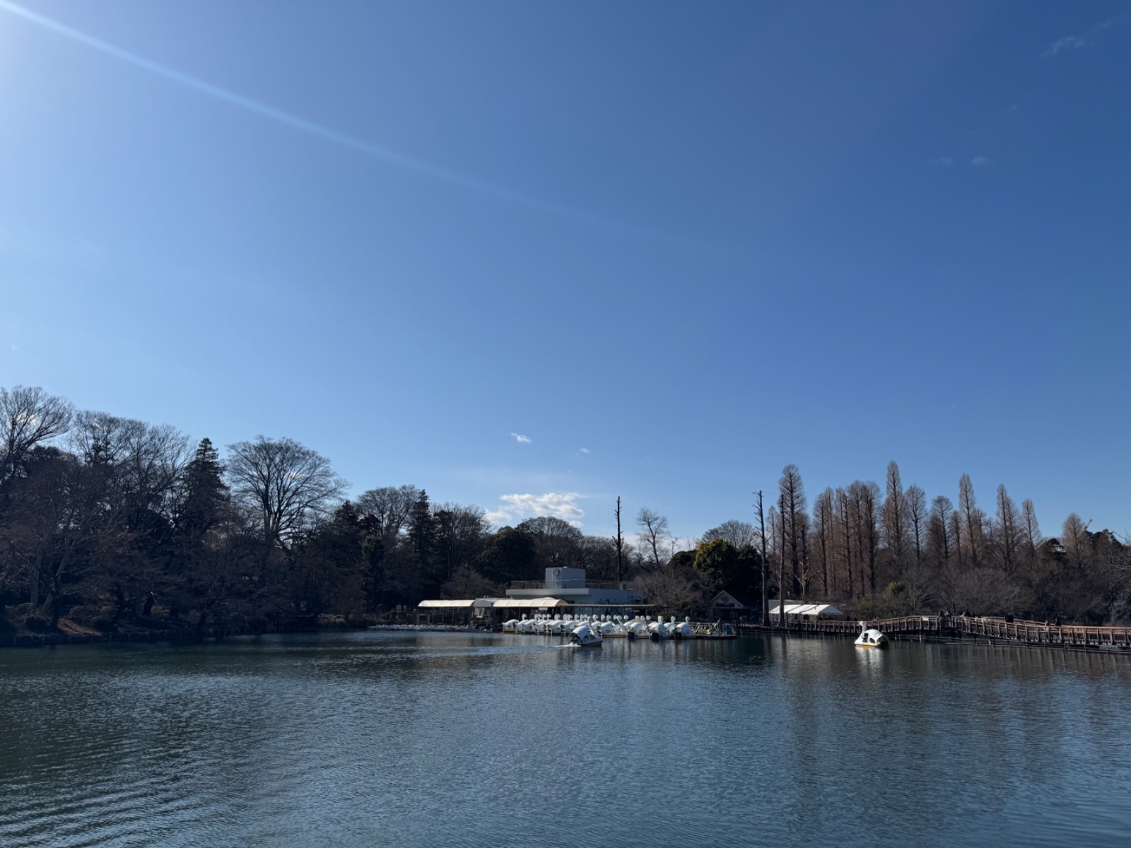 Inokashira Park, Tokyo