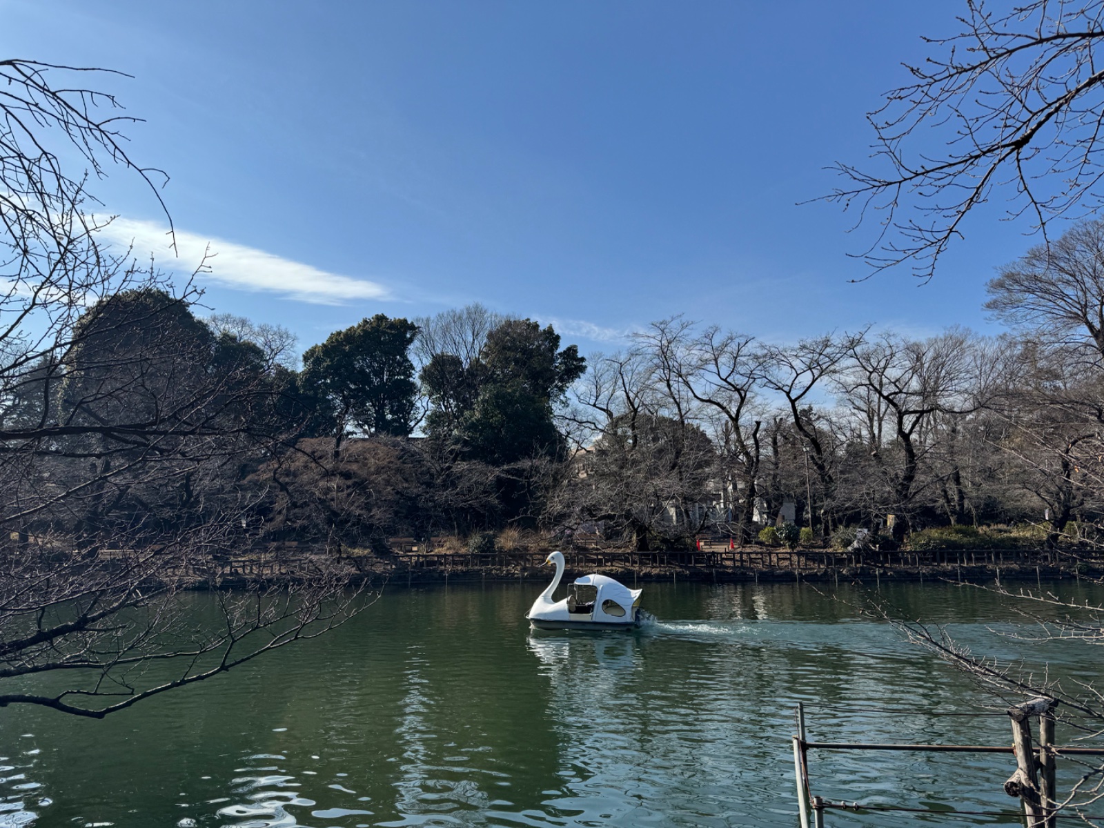 Inokashira Park, Tokyo