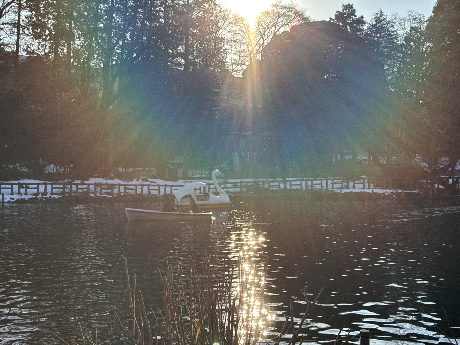 Inokashira Park, Tokyo